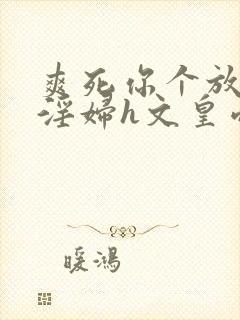 爽死你个放荡小淫妇h文皇帝视频封面