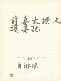 前妻太撩人总裁追妻记封面