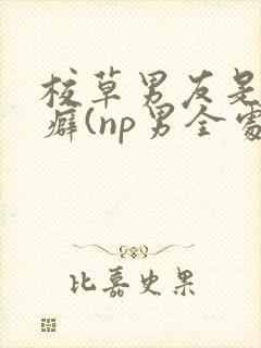 校草男友是绿帽癖(np男全处