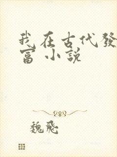 我在古代发家致富 小说