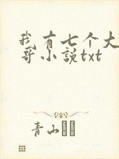 我有七个大佬哥哥小说txt