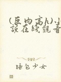 (巨肉高h)小说在线观看封面