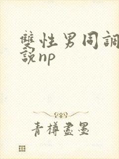 双性男同调教小说np