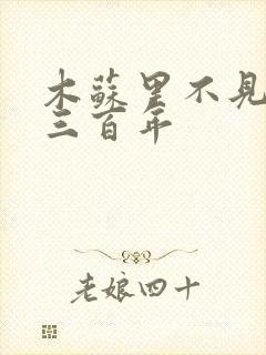 木苏里不见上仙三百年封面