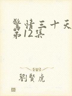 惊情三十天收听第12集