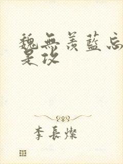 魏无羡蓝忘机谁是攻