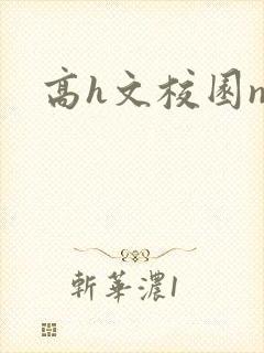 高h文校园np