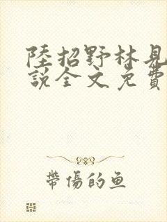陆招野林见蔬小说全文免费阅读最新