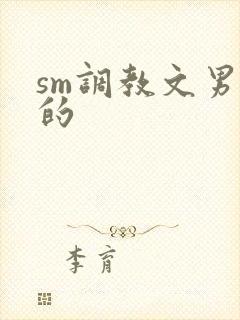 sm调教文男男的封面