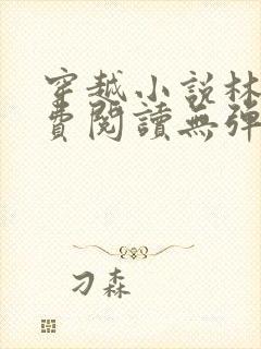 穿越小说林丰免费阅读无弹窗