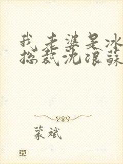 我老婆是冰山女总裁沈浪苏若雪