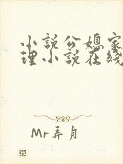 小说公媳家庭伦理小说在线阅读