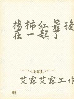 杨柿红最后和谁在一起了