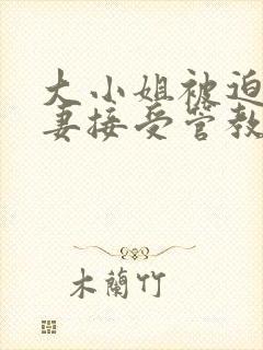 大小姐被迫为奴妻接受管教封面