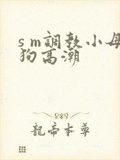 s m调教小母狗高潮