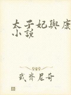 太子妃与康熙的小说