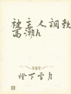 被主人调教当众高潮h封面