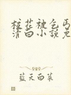 校花被乞丐毁了清白小说免费阅读封面