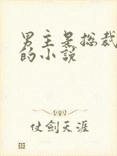 男主是总裁姓盛的小说