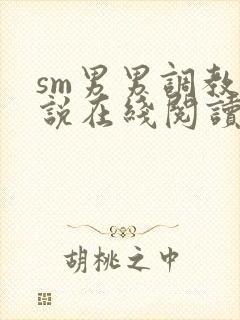 sm男男调教小说在线阅读