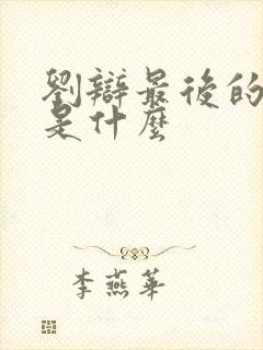 刘辩最后的结局是什么封面