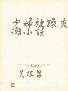 少妇被躁爽到高潮小说