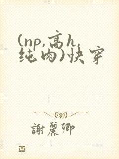 (np,高h,纯肉)快穿