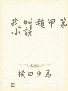 我叫赵甲第原著小说