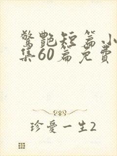 惊艳短篇小说合集60篇免费