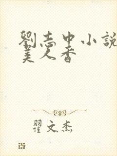 刘志中小说官婿美人香封面