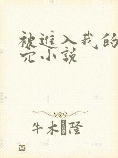 被进入我的处女穴小说封面