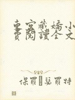 东宫藏娇小说免费阅读全文