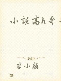小说高h哥哥封面