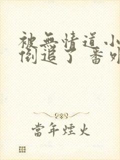 被无情道小师弟倒追了 番外