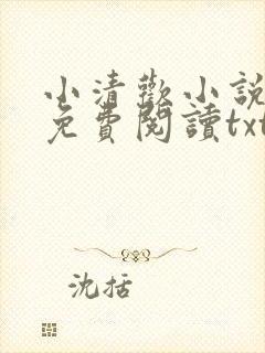 小清欢小说全文免费阅读txt