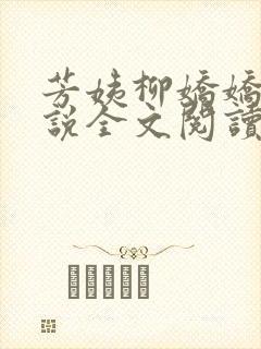 芳姨柳娇娇的小说全文阅读