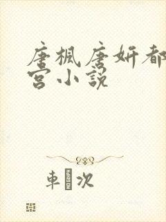 唐枫唐妍都市后宫小说