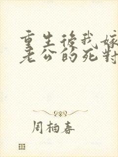 重生后我嫁给了老公的死对头 短剧