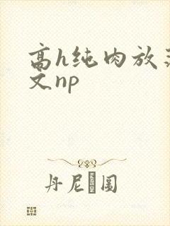 高h纯肉放荡h文np封面