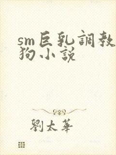 sm巨乳调教母狗小说