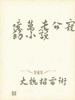 亿万老公宠上天的小说