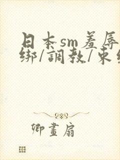 日本sm羞辱捆绑/调教/束缚封面