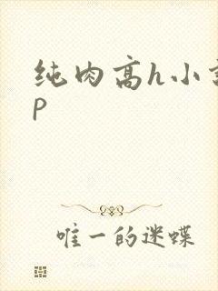纯肉高h小说np