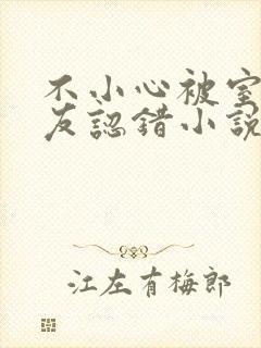 不小心被室友男友认错小说