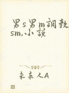 男s男m调教(sm,小说