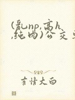 (乱np,高h,纯肉)公交车