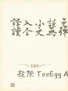 锋入小说免费阅读全文无弹窗