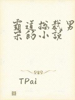 霸道总裁男主姓宋的小说