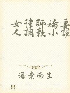 女律师娇妻被黑人调教小说阅读封面