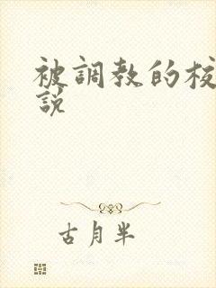 被调教的校花小说